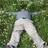 alf_bas's profile image
