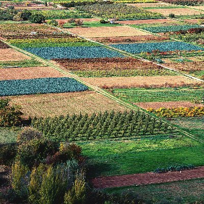 Jorge Barragán Profile