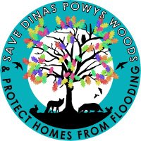 Save Dinas Powys Woods & Protect Homes From Flood(@SaveDinasWoods) 's Twitter Profile Photo