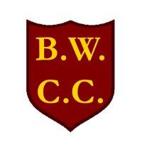 Ballinger Waggoners Cricket Club(@bwcricketclub) 's Twitter Profile Photo