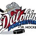 dorchesterdolphins (@dorchesterdolp1) Twitter profile photo