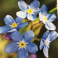CFT Dementia and Older peoples MH Liaison (@careliaison) 's Twitter Profile Photo CFT Dementia and Older peoples MH Liaison (@careliaison) 's Twitter Profile Photo