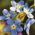 CFT Dementia and Older peoples MH Liaison (@careliaison) Twitter profile photo CFT Dementia and Older peoples MH Liaison (@careliaison) Twitter profile photo