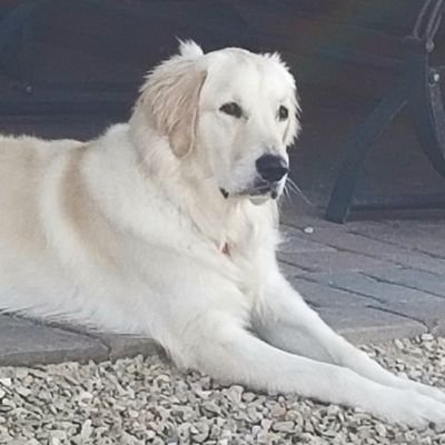 FactoryWorker's profile picture. Is it necessary? Those who know me can explain.