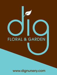 Vashon Island's destination plant nursery. The latest from DIG - what's in, out, über-cool and outrégeous! Be inspired.