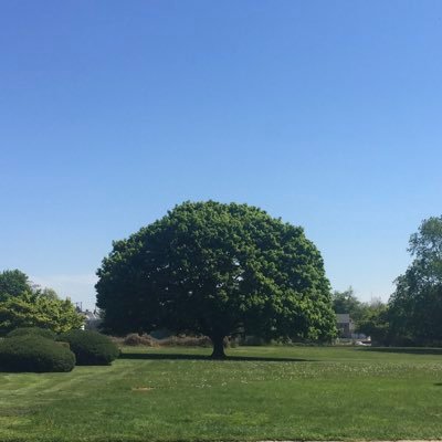 JoshBeauchamp8's profile picture. 