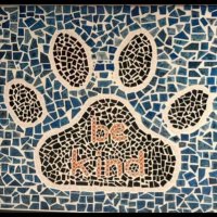 Schirra Room 210(@Schirra5thGrade) 's Twitter Profile Photo