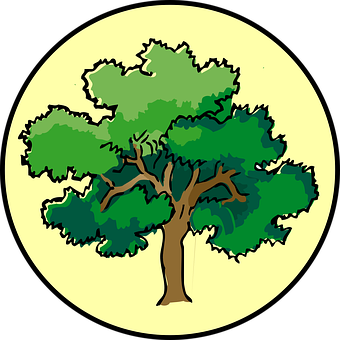 Createaforest Profile Picture