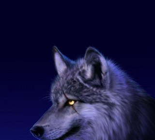 eflatunahmetli's profile picture. 