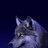 eflatunahmetli's profile image