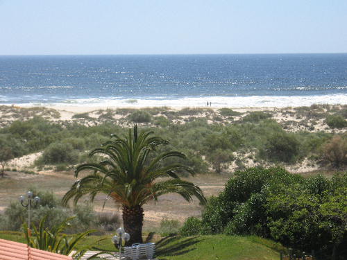 netmarketing123's profile picture. Enjoying Life, Optimist, Internet entrepeneur, Writer, Articles, Online Business, Internet Marketer,