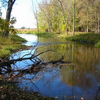 Shawnee (@shawnee) 's Twitter Profile