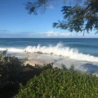 Patricia Montgomery Walker (@griffonsrock) Twitter profile photo