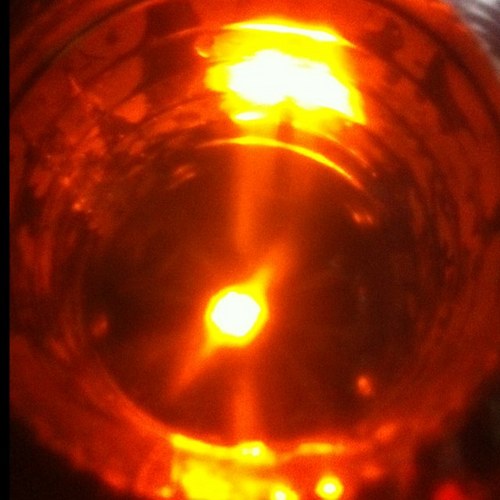 riksbeppo's profile picture. försöker lära mig om livet (vitologi)