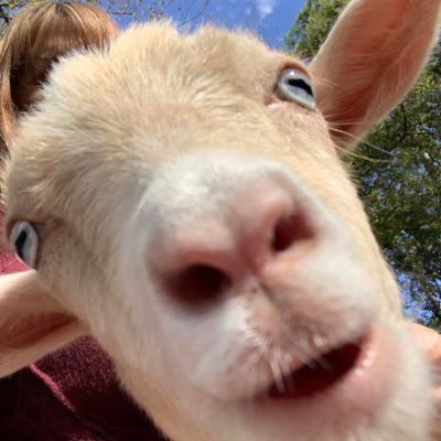 trudat1959's profile picture. I don’t believe everything I hear or read on the internet or TV.  I stay informed and unabashedly defend the constitution and Jesus.