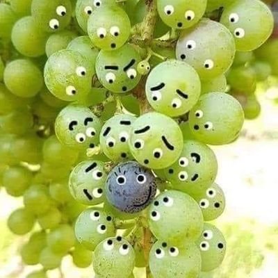 HdBCCgaSjrZWrZI's profile picture. 