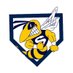 Saline Softball (@saline_softball) Twitter profile photo