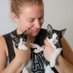 Cats of San Bernardino (@catsofsb) Twitter profile photo Cats of San Bernardino (@catsofsb) Twitter profile photo