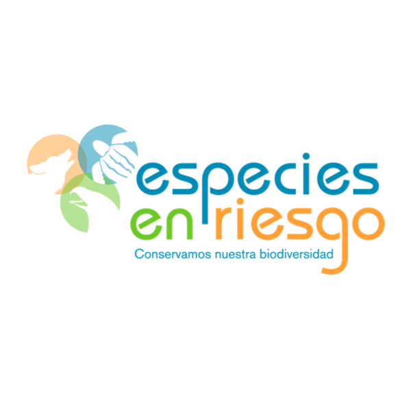 Especies_Riesgo's profile picture. Conservación, conectividad y manejo sustentable de 14 especies en riesgo y 21 ANP @CONANP_mx @PNUD_Mexico