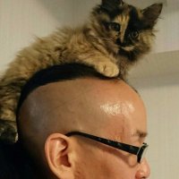 鞭匠 初代 桃太郎 (@momowhips) 's Twitter Profile