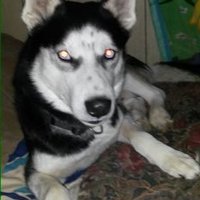 Ken Ohrmund (@kenohrmund) 's Twitter Profile Photo