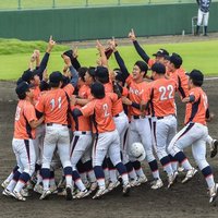 青い人【蒼い人】 (@baseballyeyl) Twitter profile photo