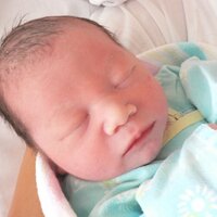 Henry Lee (@hdcl) 's Twitter Profile