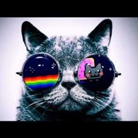 Amrak ✌️ (@amrak101) 's Twitter Profile