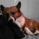 Kyle Kimura - @Oneupracing - Twitter