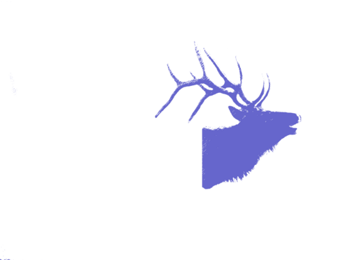 RateMyOutfitter's profile picture. The place to find your next hunting or fishing guide.  Read and write reviews and look at guide pictures of success!