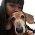Daira (@daira_zamudio) Twitter profile photo Daira (@daira_zamudio) Twitter profile photo