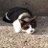 なぎねこのアイコン