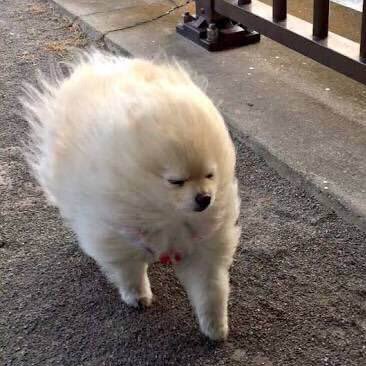 meimeimei82's profile picture. 田舎侍▶︎コンサル