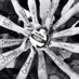 Maquoketa Valley Volleyball (@maquoketav) Twitter profile photo Maquoketa Valley Volleyball (@maquoketav) Twitter profile photo