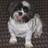 Ziggy_Bear's profile image