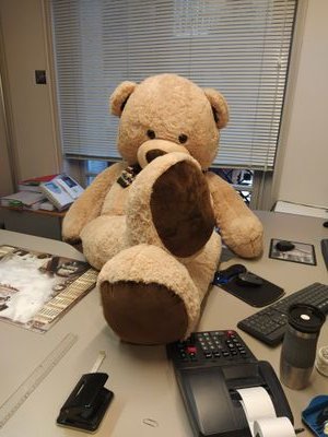 meur_meur's profile picture. 