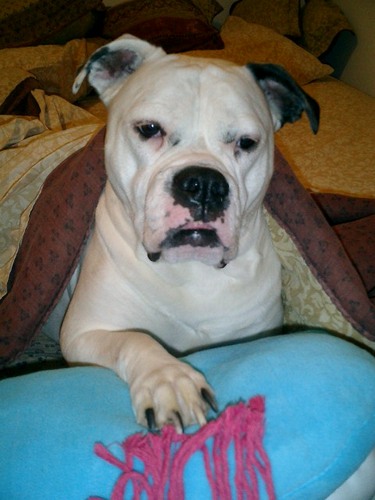 IvysMom0731's profile picture. 