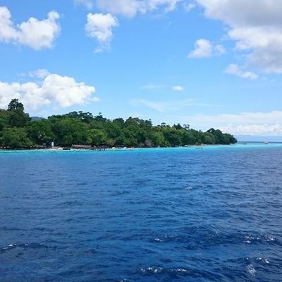 Excelous1's profile picture. 