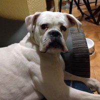 Tino García (@yekas_84) 's Twitter Profile