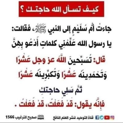 درست في جامعة الامام محمد بن سعود كلية الدعوة والاعلام
وفي المعهد العلمي العالي لإعداد معلمات القرآن والسنة بجدة وفي حائل والقصيم