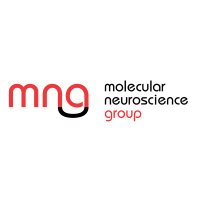 Molecular Neuroscience Group (@mng_ceb) 's Twitter Profile