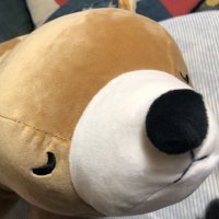 木乃 (@kino_0117) Twitter profile photo