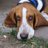 FIDELSEGURA's profile image