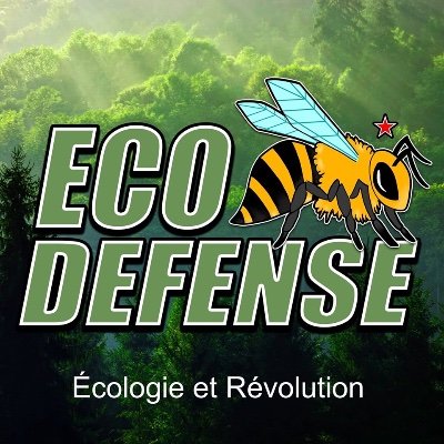 Écologie anticapitaliste, révolution et lutte des classes 🐝