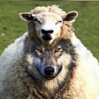 Kevin Shute (@thatkevinshute) 's Twitter Profile Photo Kevin Shute (@thatkevinshute) 's Twitter Profile Photo