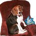 🐈 barkway 🐕 (@barkway) Twitter profile photo 🐈 barkway 🐕 (@barkway) Twitter profile photo