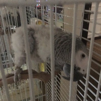 wisdomtree54's profile picture. 