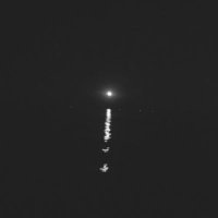 _ (@wooooon___) 's Twitter Profile