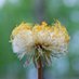 Weed Research (@weedresjournal) Twitter profile photo Weed Research (@weedresjournal) Twitter profile photo