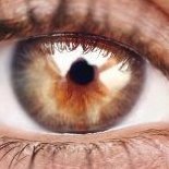 Lombrizenojo's profile picture. 